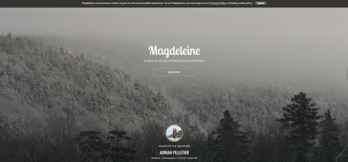 fbc52a4ce72766a6177df1aaf94a1e1a.png image.png